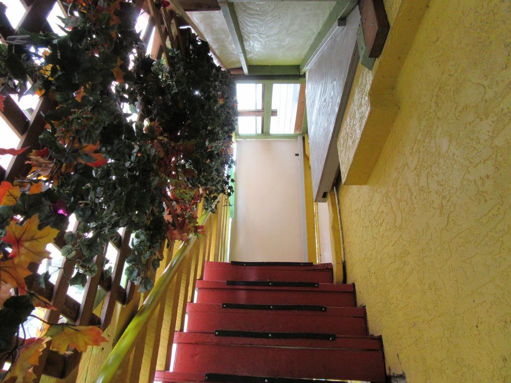 Turtle Hostel Виктория Экстерьер фото